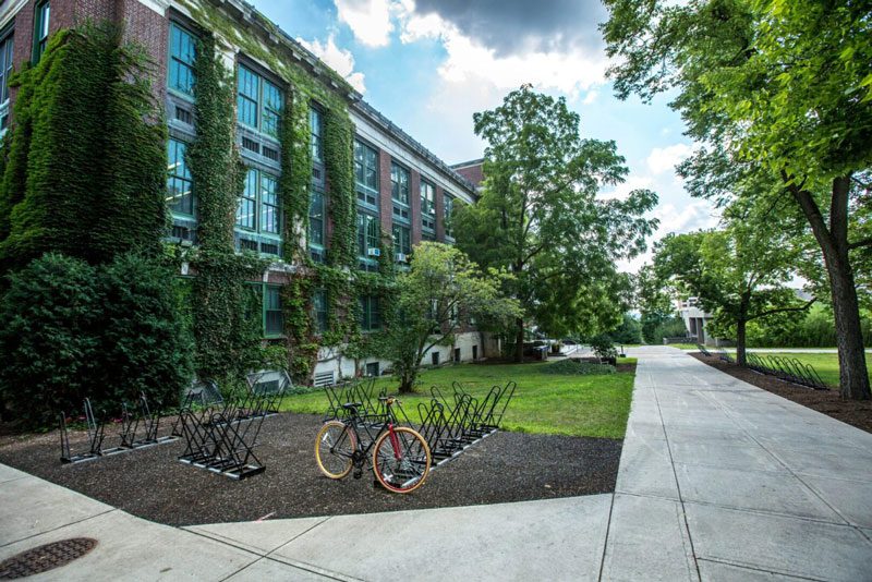 A green university campus with a historic ivy-covered building, a bicycle parking area, and a tree-lined walkway under a partly cloudy sky.