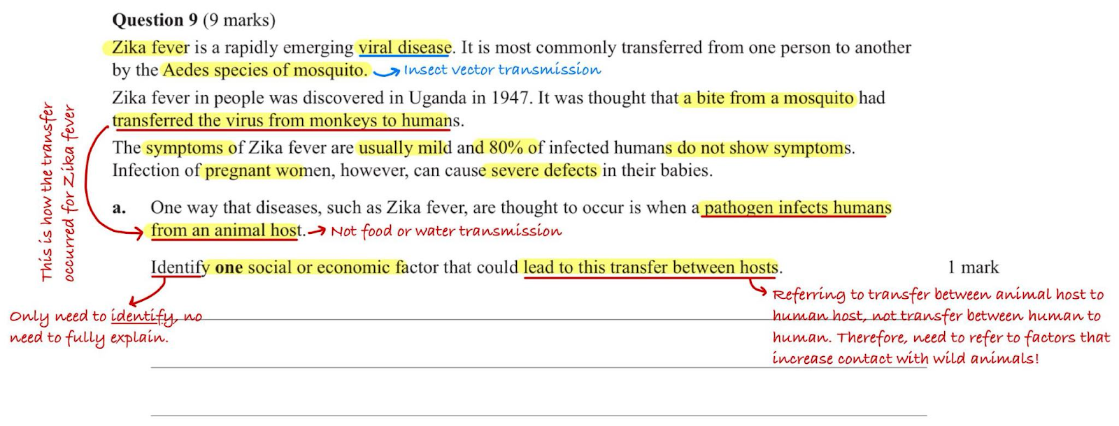 Mastering Short Answer Questions in VCE Biology: A Strategic Approach ...